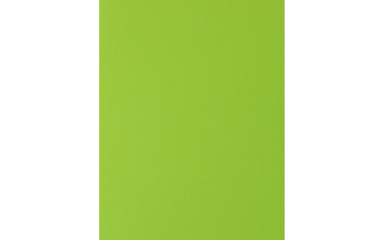 PA Paper Accents Textured Cardstock 8.5" x 11" Tree Frog, 73lb colored cardstock paper for card making, scrapbooking, printing, quilling and crafts, 1000 piece box